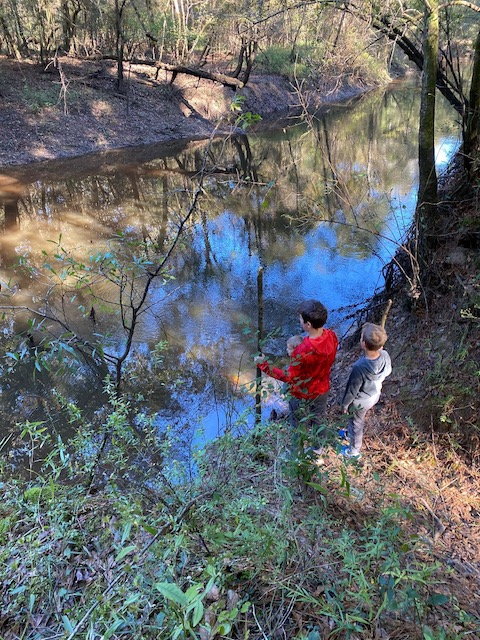 Kirby Nature Trail by Rebekah Foster