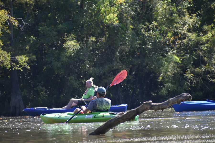 kayakers paddling  through snags by Tara Nicole Bryant