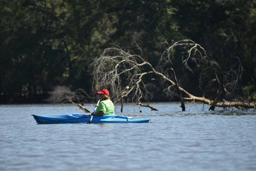 paddler in sundolphin kayak by Tara Nicole Bryant