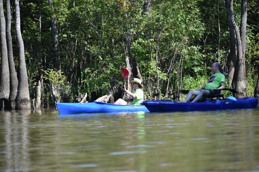 kayakers in tupelo trees by Tara Nicole Bryant