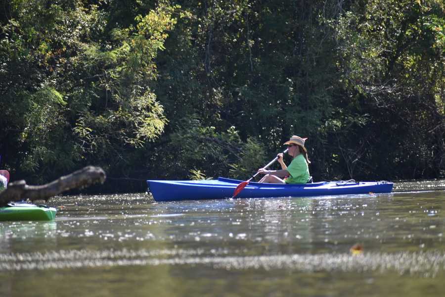 kayaker paddling in current by Tara Nicole Bryant