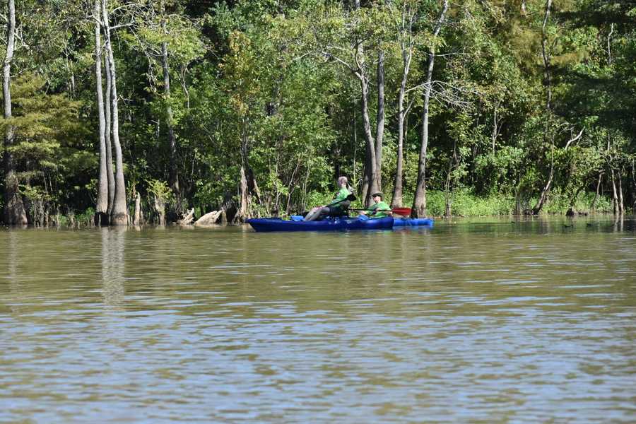 kayakers on blue by Tara Nicole Bryant